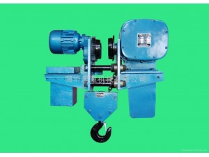 國外多選用此種結(jié)構(gòu)形式的電動(dòng)葫蘆。