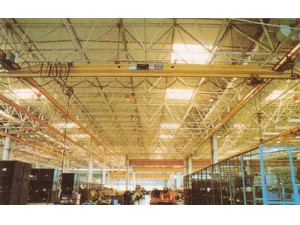 可以設(shè)計(jì)環(huán)行吊、手動單梁